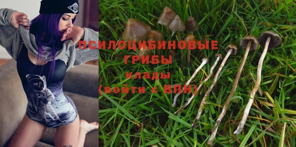 не бодяженный Вяземский
