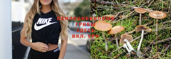 кристаллы Вязники
