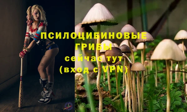 кристаллы Вязники
